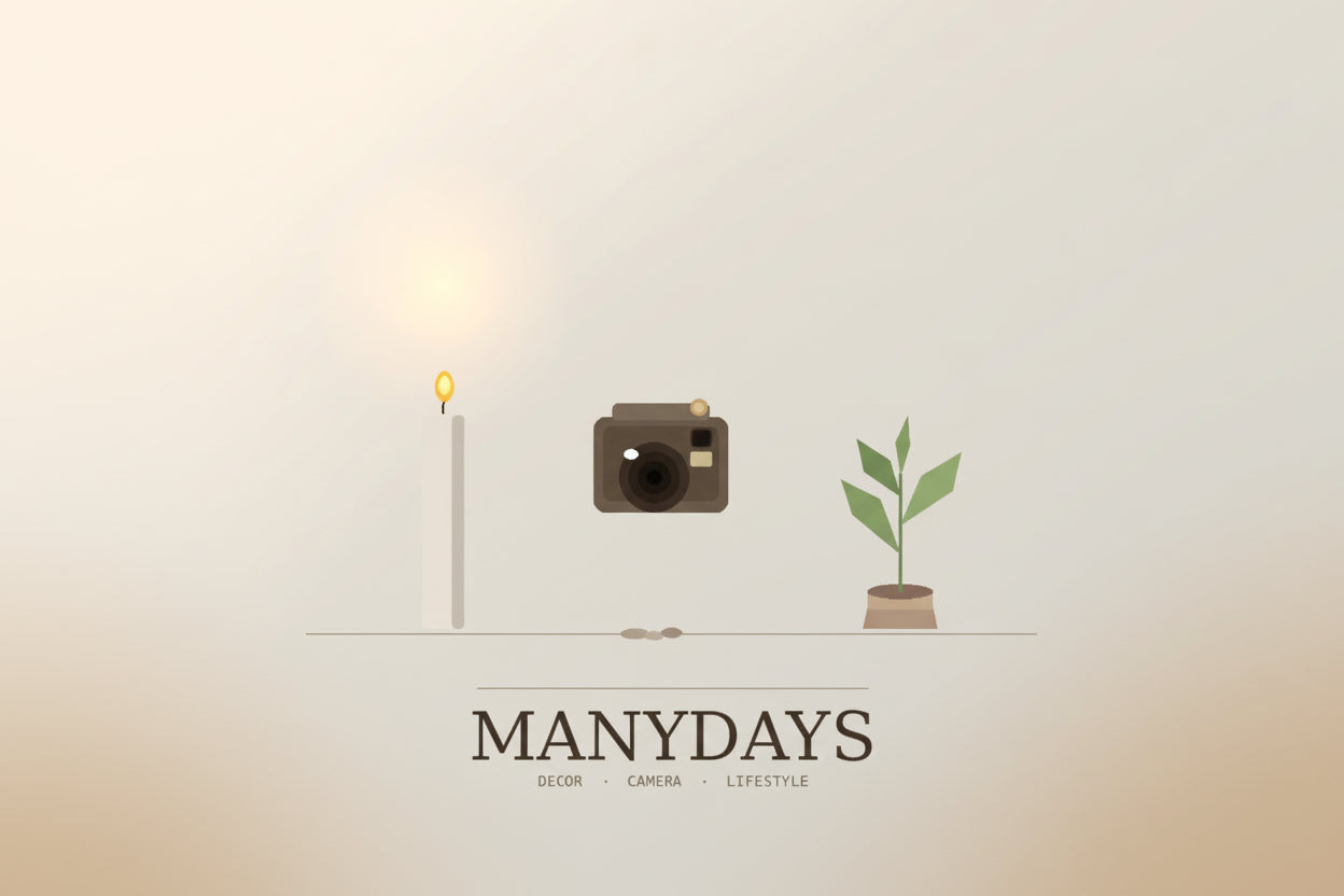 Vintage-Style Digital Cameras Collection